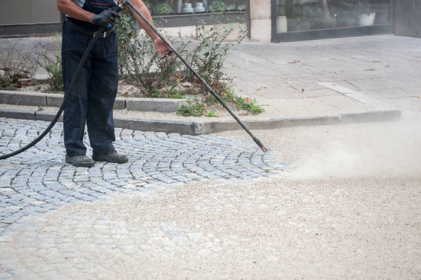 Animal Enclosure Cleaning in Maricopa, CA